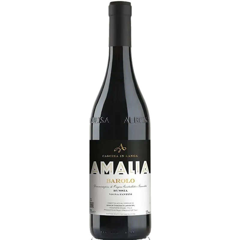 [003128] Amalia Barolo Bussia Fantini 2019 Rood 75cl