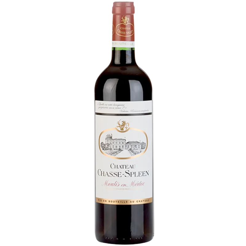 Chateau Chasse Spleen Moulis-en-Médoc 2021 Rood 75cl