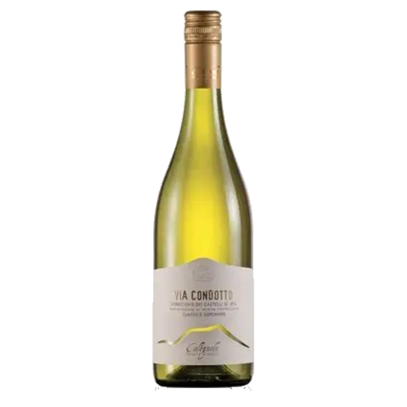 Colognola Viacondotto Verdicchio Cast Jesi 2021 75cl Wit