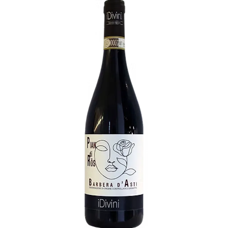 Divini Pian di Rös Barbera d'Asti 2019 Rouge