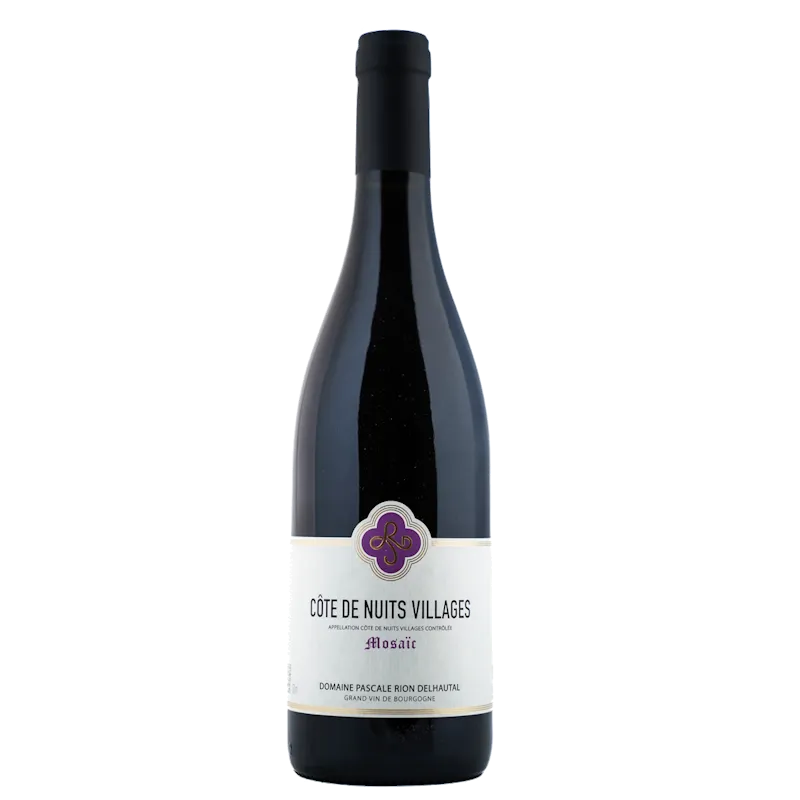 Pascale Rion Côte de Nuits Villages Mosaïc 2022 Rood 75cl
