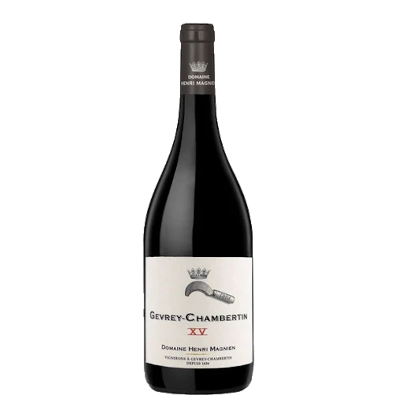 Henri Magnien Gevrey-Chambertin 'XV' 2024 Rood 75cl
